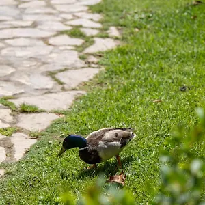Garden & - Apartamento